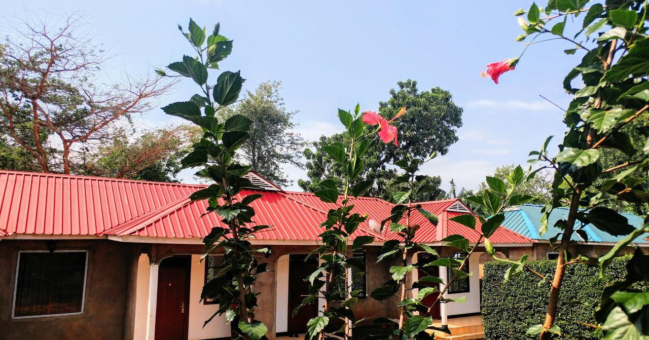 Acacia Tree Apartments Marangu Exteriér fotografie