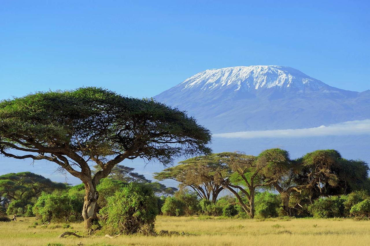 Acacia Tree Apartments Marangu Exteriér fotografie