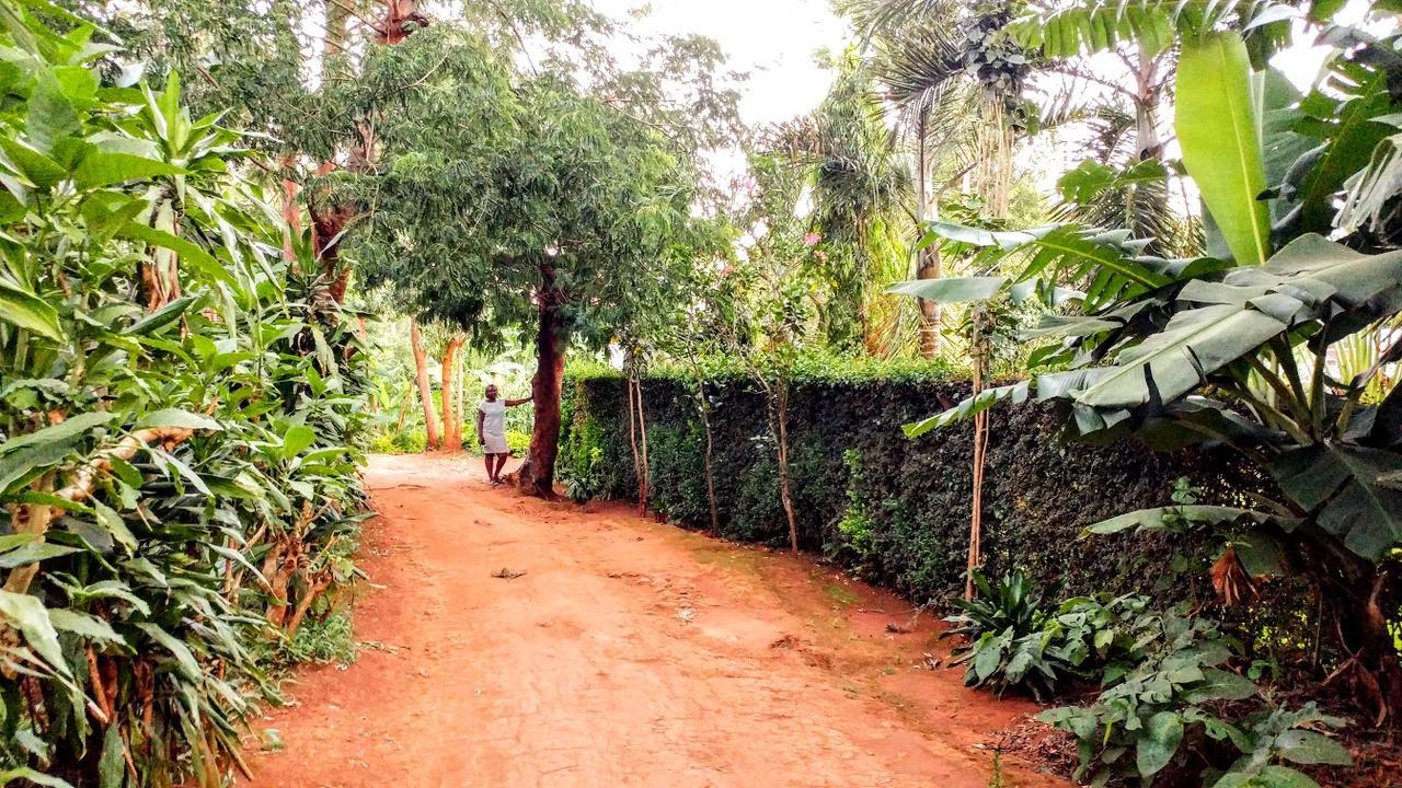 Acacia Tree Apartments Marangu Exteriér fotografie